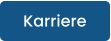 Karriere