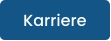 Karriere